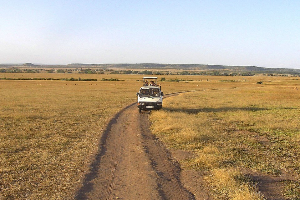 Game Drive in Masai mara